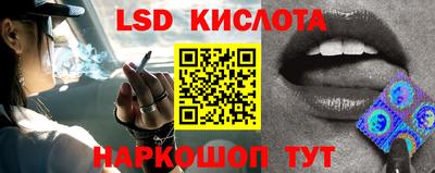 гидропоника Кулебаки