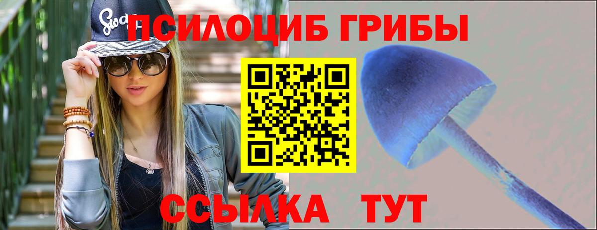 Каменск-Уральский  Псилоцибиновые грибы GOLDEN TEACHER  Вход с VPN 
