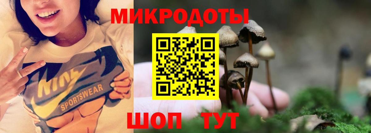 Псилоцибиновые грибы GOLDEN TEACHER Каменск-Уральский