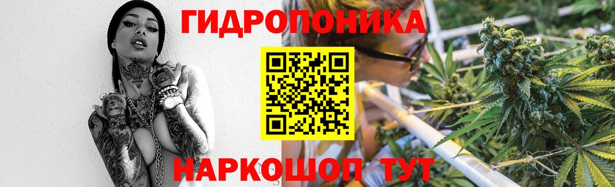 Бошки Шишки White Widow  Конопля конопля  Шишки марихуана THC 21%  Вход с VPN  Каменск-Уральский  Конопля планчик 